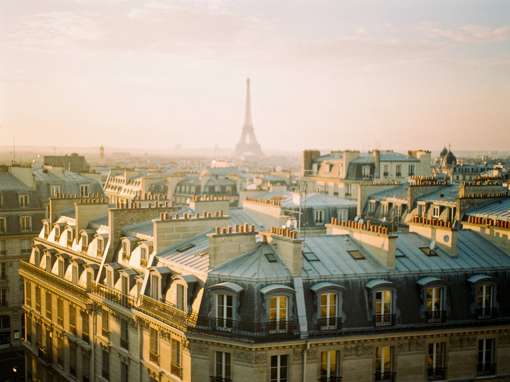 Toits parisiens haussmanniens au golden hour